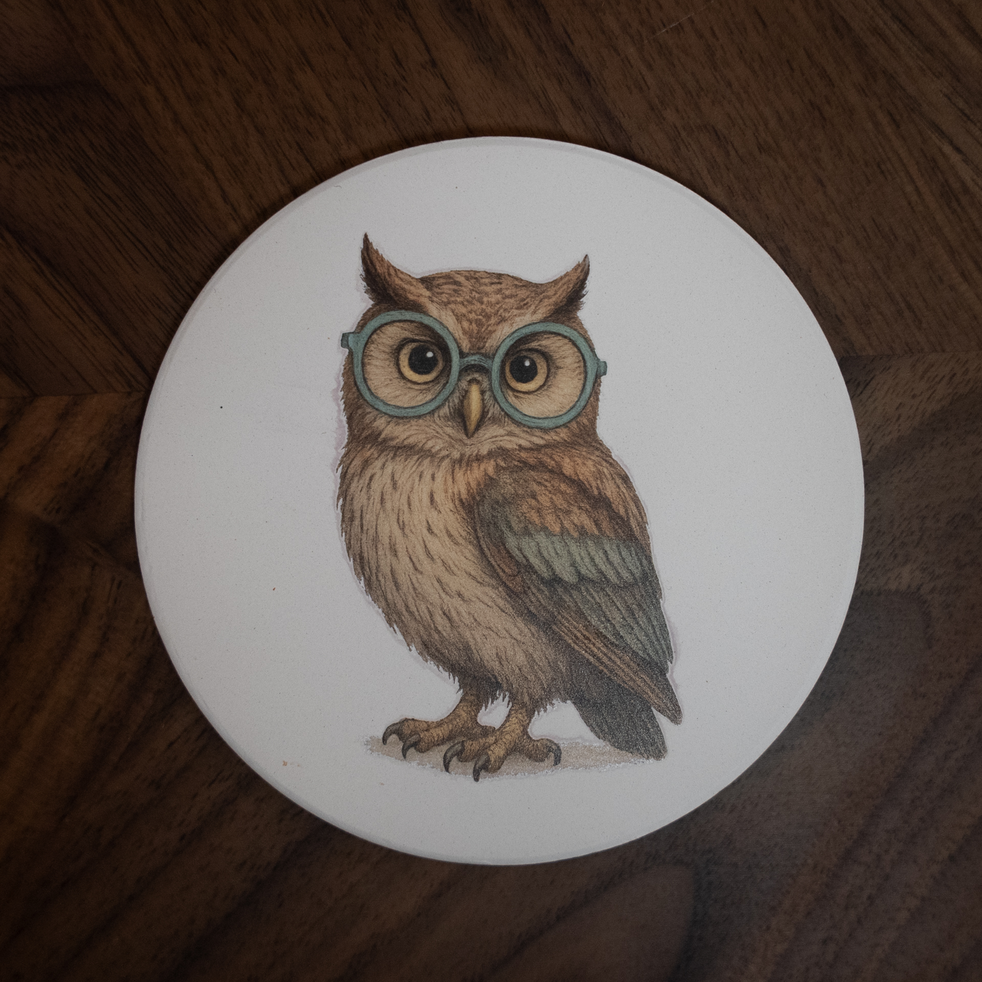 Owl Coaster